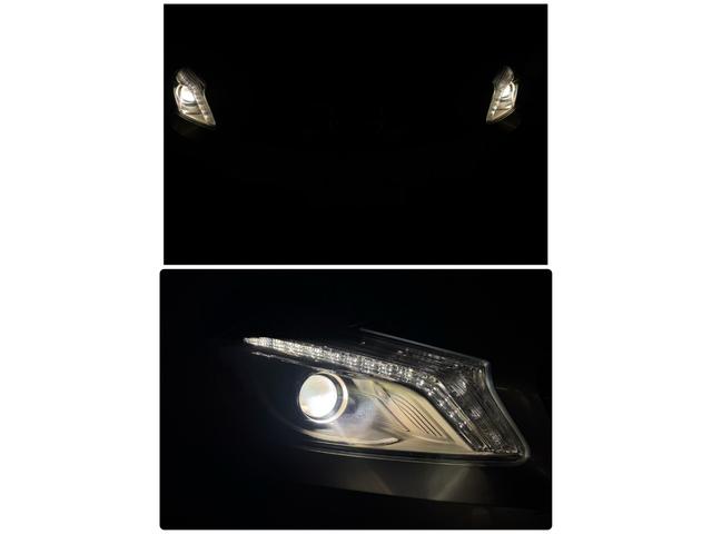 �Î��̃w�b�h���C�g�_�����̗l�q