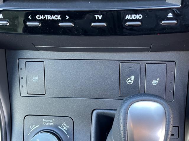 ＩＳ 　ワンオーナー　パノラミックビューカメラ　純正１９インチＡＷ　サンルーフ　レーダークルーズ　三眼ＬＥＤヘッド　ＢＳＭ　ナビ　ＴＶ　シートヒーター　前後ドラレコ　ＥＴＣ２．０　ステアリングヒーター（58枚目）