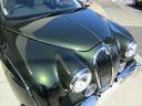 MITSUOKA VIEWT