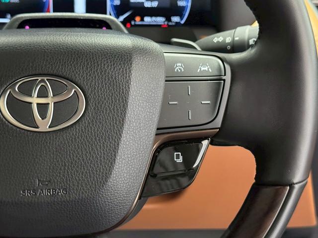 ヴェルファイアハイブリッド Z プレミア デジタルインナーミラー 左右独立サンルーフ 13.2インチ有機EL後席モニター パノラミックビューモニター 茶色内装 ビルトインETC ドライブレコーダー HDMI シートヒーター シートクーラー(51枚目)