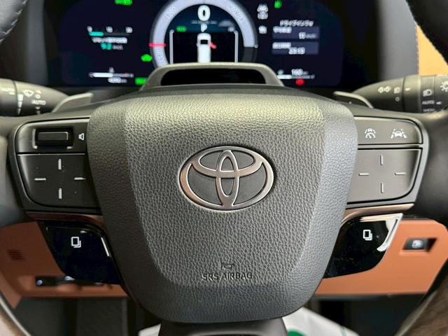 ヴェルファイアハイブリッド Z プレミア モデリスタエアロ デジタルミラー ユニバーサルステップ 13.2型後席モニタ サイドエンブレムイルミ 独立ムーンルーフ チームメイト ダウンサス ナビ TV BSM HUD ETC2.0 全方位カメラ(66枚目)