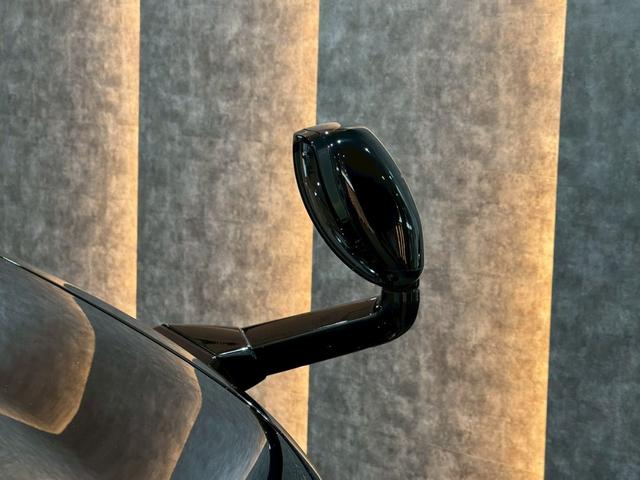 ランドクルーザープラド TX Lパッケージ マットブラックエディション グリルLED アルパインフローティングナビ バックカメラ ETC サンルーフ ルーフレール 寒冷地仕様 アルパインツィーターキット アルパインデジタルミラー イグラ2 リフトアップ リアフィルム(14枚目)