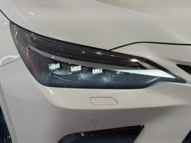 ＮＸ ＮＸ３５０ｈ　Ｆスポーツ　ＴＲＤエアロ　パノラマルーフ　オレンジキャリパー　デジタルミラー　後席シートヒーター　チームメイト　全方位カメラ　ドラレコ　１４型ＤＡ　ナビ　フルＴＶ　ＢＳＭ　ＨＵＤ　ＥＴＣ２．０　２０ＡＷ　内装赤革（14枚目）