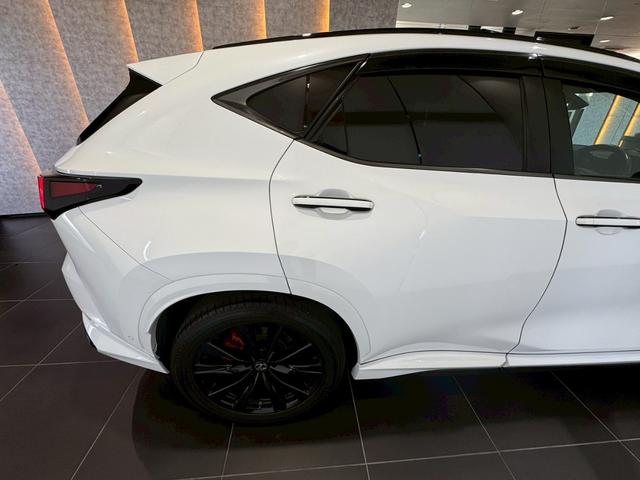 ＮＸ ＮＸ３５０ｈ　Ｆスポーツ　ＴＲＤエアロ　パノラマルーフ　オレンジキャリパー　デジタルミラー　後席シートヒーター　チームメイト　全方位カメラ　ドラレコ　１４型ＤＡ　ナビ　フルＴＶ　ＢＳＭ　ＨＵＤ　ＥＴＣ２．０　２０ＡＷ　内装赤革（22枚目）