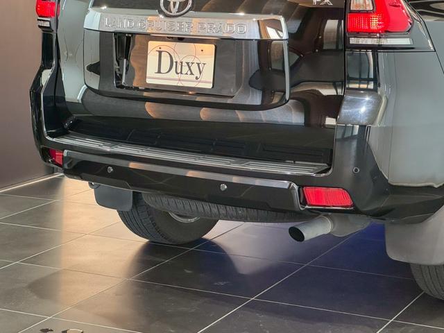 ランドクルーザープラド 　アルパイン９インチナビ　３６０°ドライブレコーダー　サンルーフ　バックカメラ　リアフィルム　ルーフレール　シートヒーター　シートクーラー　純正バイザー　レーダークルーズコントロール　純正ホイール（29枚目）