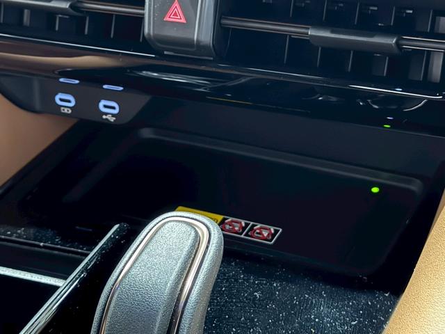 ヴェルファイアハイブリッド Z プレミア デジタルインナーミラー 左右独立サンルーフ 13.2インチ有機EL後席モニター パノラミックビューモニター 茶色内装 ビルトインETC ドライブレコーダー HDMI シートヒーター シートクーラー(65枚目)