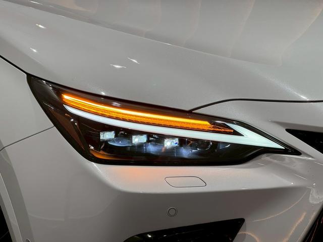 �k�d�c�R�[�i�����O�����v�{�k�d�c�t�H�O�����v�@�k�d�c�R�[�i�����O�����v�͓_�����s���ɃE�C�����J�[��X�e�A�����O����ɘA�����_�����܂��B�E���ܐi�����ɕ��s�҂��Q���̎��F�����m�ۂ��܂��B���S���Ƌ@�\����