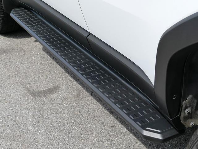 TOYOTA LAND CRUISER 250 VX