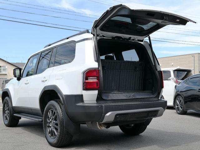 TOYOTA LAND CRUISER 250 VX