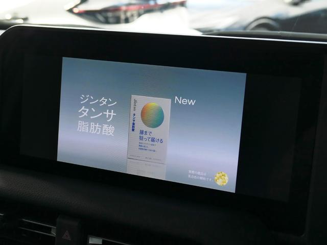 TOYOTA LAND CRUISER 250 VX