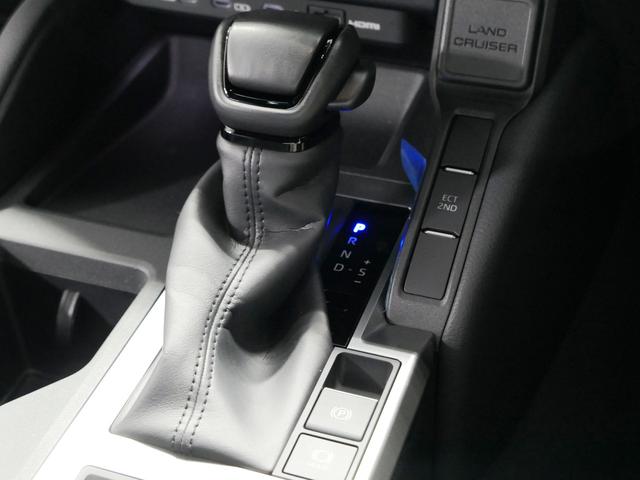 TOYOTA LAND CRUISER 250 VX