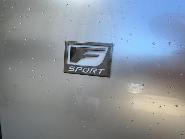 LS LS500h Fスポーツ ドライブレコーダー クリアランスソナー レーンアシスト オートクルーズコントロール パークアシスト フロントカメラ TV アルミホイール オートマチックハイビーム サンルーフ シートヒーター(40枚目)