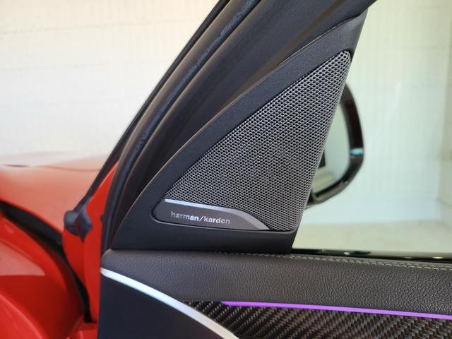 X4 M コンペティション 革シート 前席ベンチレーション&シートヒーター 後席シートヒーター 純正ナビ フルセグ 全周囲カメラ カーボン(Fスポイラー・サイドスカート) カーボンインテリア H&Rダウンサス 21AW(60枚目)