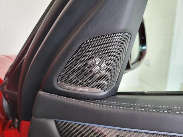 Ｘ６ Ｍ ベースグレード　サンルーフ　黒革シート　リヤエンターテインメントシステム　前席ベンチレーション＆シートヒーター　後席シートヒーター　純正ナビ　フルセグ　バックカメラ　ハーマンカードン　２１ＡＷ（62枚目）