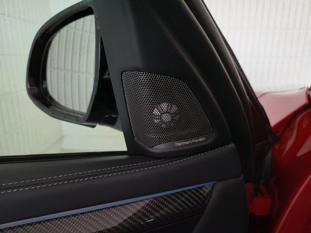 Ｘ６ Ｍ ベースグレード　サンルーフ　黒革シート　リヤエンターテインメントシステム　前席ベンチレーション＆シートヒーター　後席シートヒーター　純正ナビ　フルセグ　バックカメラ　ハーマンカードン　２１ＡＷ（64枚目）
