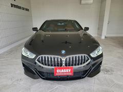 ꡼ 顡ڡͥݡġץȡ٥졼󥷡 0208766A30250306W001 5