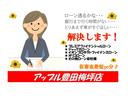 LリミテッドSAIII 両側Pスラ 360°カメラ 純正メモリーナビ フルセグTV CD DV SD USB ETC 純正14インチAW ステアリングスイッチ スマアシ3 LEDヘッド LEDフォグ スマートキ-2(65枚目)