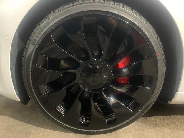 �C�����悭����蒸����l�A���������ł͂Ȃ��O�ς�����̃L���C�����d�����Ă��܂��B