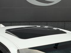 ᡼ץ󥵥롼դ夷Ƥޤ롼դΥ饦õ¿ΤǤϤʤǤ礦ʪ֤ǤˤʤϤˤ礻 7