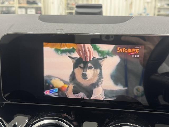 Bクラス B200d AMGライン レーダーセーフティPKG/ブラインドスポット/バックカメラ/電動リアゲート/ハーフレザーシート/レーダークルーズ/クリアランスソナー/シートヒーター/シートメモリ/パドルシフト(57枚目)