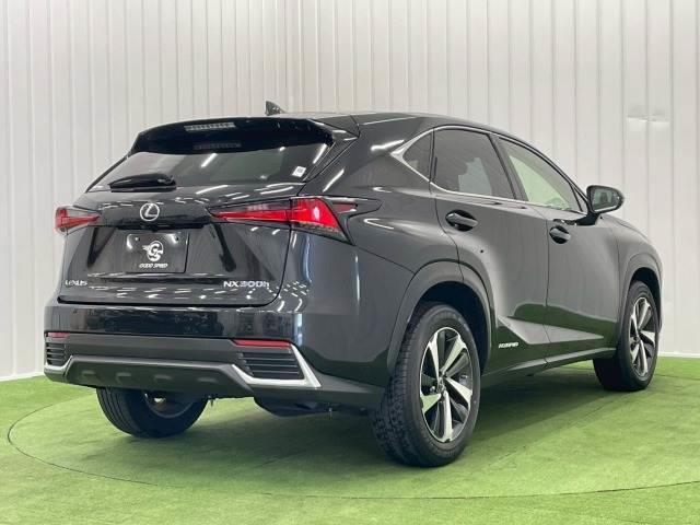 ＮＸ ＮＸ３００ｈ　Ｉパッケージ　全周囲カメラ／ブラインドスポット／オプション１８ｉｎアルミ／フルセグＴＶ／赤革シート／ヘッドアップディスプレイ／３眼ＬＥＤライト／シートヒーター／１０．３型ナビ／レーダークルーズ／電動リアゲート（16枚目）