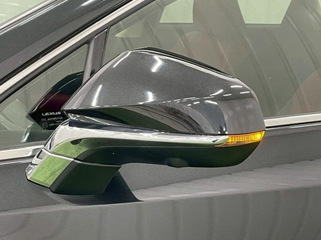 ＮＸ ＮＸ３００ｈ　Ｉパッケージ　全周囲カメラ／ブラインドスポット／オプション１８ｉｎアルミ／フルセグＴＶ／赤革シート／ヘッドアップディスプレイ／３眼ＬＥＤライト／シートヒーター／１０．３型ナビ／レーダークルーズ／電動リアゲート（30枚目）