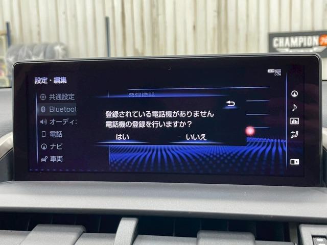ＮＸ ＮＸ３００ｈ　Ｉパッケージ　全周囲カメラ／ブラインドスポット／オプション１８ｉｎアルミ／フルセグＴＶ／赤革シート／ヘッドアップディスプレイ／３眼ＬＥＤライト／シートヒーター／１０．３型ナビ／レーダークルーズ／電動リアゲート（64枚目）