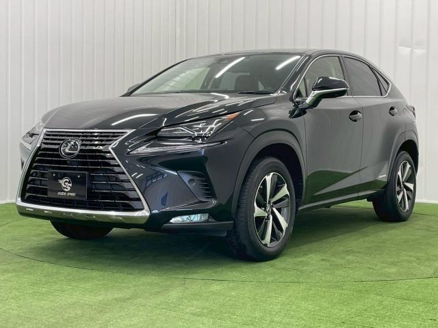 ＮＸ ＮＸ３００ｈ　Ｉパッケージ　全周囲カメラ／ブラインドスポット／オプション１８ｉｎアルミ／フルセグＴＶ／赤革シート／ヘッドアップディスプレイ／３眼ＬＥＤライト／シートヒーター／１０．３型ナビ／レーダークルーズ／電動リアゲート（77枚目）