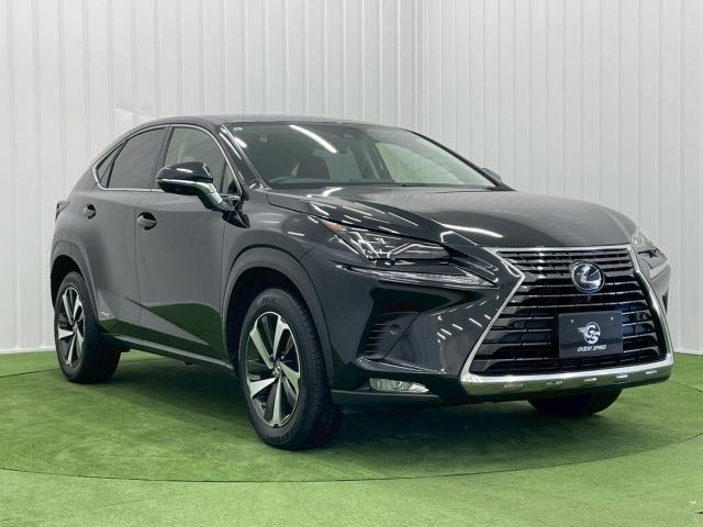 ＮＸ ＮＸ３００ｈ　Ｉパッケージ　全周囲カメラ／ブラインドスポット／オプション１８ｉｎアルミ／フルセグＴＶ／赤革シート／ヘッドアップディスプレイ／３眼ＬＥＤライト／シートヒーター／１０．３型ナビ／レーダークルーズ／電動リアゲート（78枚目）