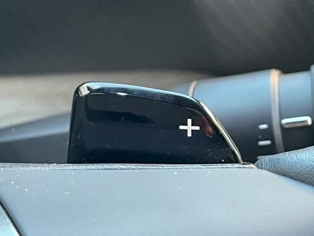 Ｃ５ Ｘ シャインパック　サンルーフ／全周囲カメラ／デジタルインナーミラー／黒革シート／ＡｐｐｌｅＣａｒＰｌａｙ／電動シート／シートヒーター＆ベンチレーション／純正ナビ／電動リアゲート／レーダークルーズ／ブラインドスポット（42枚目）