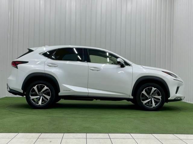 ＮＸ ＮＸ３００ｈ　Ｉパッケージ　ガラスルーフ／全周囲カメラ／ブラインドスポット／電動リアゲート／フルセグＴＶ／レーダークルーズ／シートヒーター／３眼ＬＥＤライト／赤革シート／ＥＴＣ／ステアリングヒーター／オートマチックハイビーム（15枚目）