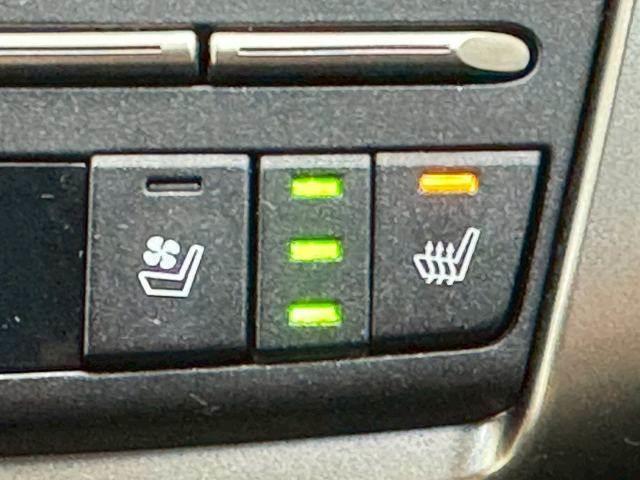 ＮＸ ＮＸ３００ｈ　バージョンＬ　ワンオーナー／全周囲カメラ／ブラインドスポット／ＡＣ１００Ｖ／ヘッドアップディスプレイ／レーダークルーズ／フルセグＴＶ／３眼ＬＥＤライト／電動リアゲート／シートヒーター＆シートクーラー／ＥＴＣ（6枚目）