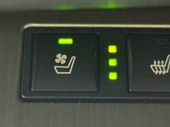 ץȤˤϤȴ򤷤ڥȥҡ٥졼ܡ 7