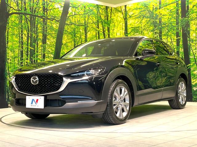 ＣＸ－３０ ２０Ｓ　プロアクティブ　ツーリングセレクション　禁煙車　メーカー８．８インチナビ　全周囲カメラ　フルセグＴＶ　Ｂｌｕｅｔｏｏｔｈ接続　前席シートヒーター　衝突被害軽減システム　パワーバックドア　クルージングトラフィックサポート　ステアリングヒーター（52枚目）