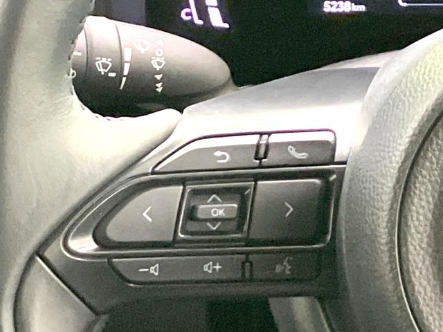 シエンタ ハイブリッドＺ　禁煙車　両側電動ドア　ディスプレイオーディオプラス　全周囲カメラ　衝突被害軽減システム　１００Ｖ電源　レーダークルーズ　コーナーセンサー　ステアリングヒーター　スマートキー　ＬＥＤヘッド　ＥＴＣ（54枚目）