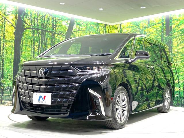 アルファードハイブリッド Z 禁煙車 純正14インチナビ 後席モニター 両側電動スライドドア ユニバーサルステップ HUD 全周囲カメラ 衝突被害軽減システム レーダークルーズ 電動リアゲート レザーシート 快適温熱シート(28枚目)