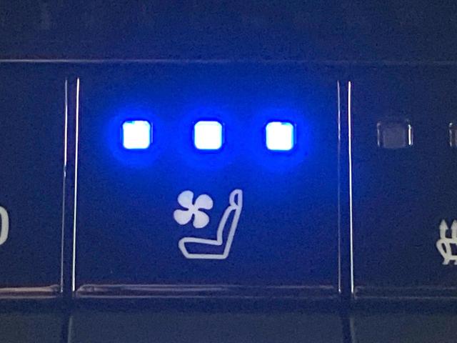 ランドクルーザー250 VX 禁煙車 現行 サンルーフ ルーフレール 7人乗り 純正12.3型ディスプレイオーディオ 全周囲カメラ 純正デジタルインナーミラー 前席シートベンチレーション パワーバックドア 4WD ETC(8枚目)