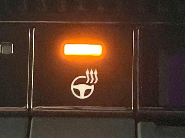 ランドクルーザー250 VX 禁煙車 現行 サンルーフ ルーフレール 7人乗り 純正12.3型ディスプレイオーディオ 全周囲カメラ 純正デジタルインナーミラー 前席シートベンチレーション パワーバックドア 4WD ETC(58枚目)