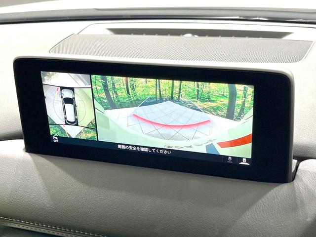 ＣＸ－８ ２５Ｓ　禁煙車　７人乗り　マツダコネクト　全周囲カメラ　衝突被害軽減システム　ドラレコ　コーナーセンサー　スマートキー　ＬＥＤヘッド　ビルトインＥＴＣ　クルコン　純正１７インチアルミ　デュアルエアコン（69枚目）