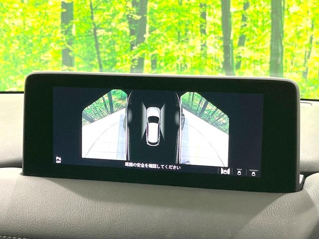ＣＸ－８ ２５Ｓ　禁煙車　７人乗り　マツダコネクト　全周囲カメラ　衝突被害軽減システム　ドラレコ　コーナーセンサー　スマートキー　ＬＥＤヘッド　ビルトインＥＴＣ　クルコン　純正１７インチアルミ　デュアルエアコン（72枚目）