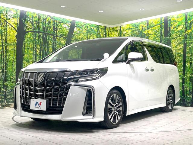 アルファード ２．５Ｓ　Ｃパッケージ　純正９インチナビ　両側電動ドア　後席モニター　バックカメラ　１００Ｖ電源　衝突被害軽減システム　レーダークルーズ　禁煙車　電動リアゲート　前席シートエアコン　ドラレコ　コーナーセンサー　ＬＥＤヘッド（22枚目）