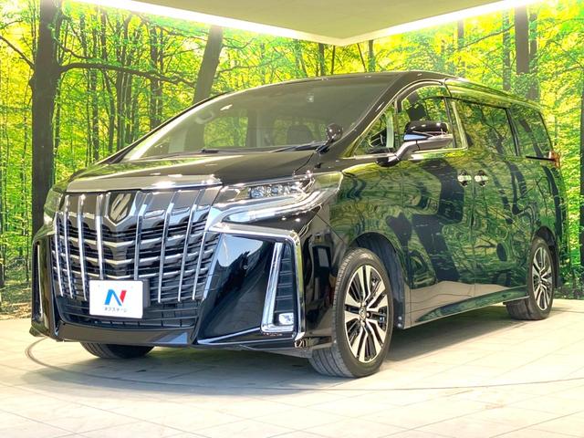 アルファード ２．５Ｓ　Ｃパッケージ　禁煙車　サンルーフ　デジタルインナーミラー　純正９型ディスプレイオ　バックカメラ　パワーバックドア　両側パワースライドドア　前席パワーシート　前席シートクーラー　衝突被害軽減ブレーキ　レーダークルーズ（68枚目）