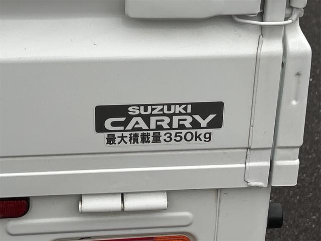 スーパーキャリイ Ｘ　４ＷＤ　軽トラック　ＭＴ　ナビ　キーレスエントリー　エアコン　パワーステアリング　パワーウィンドウ　運転席エアバッグ　助手席エアバッグ（64枚目）