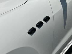  ӡȡסҳޥե顼ʥ 0208843A30250905W001 7