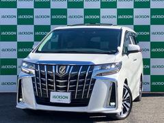 ����ե����� �������ӡ��åѥå�����������롼�ա��ǥ����륤��ʡ��ߥ顼���ե�åץ������˥��� 0208843A30251214W001 2