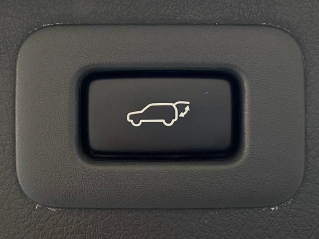 ヴェルファイア 3.5ZプラチナセレクションIIタイプゴールド 特別仕様車 サンルーフ ピュアスピリッツ19AW TEIN車高調 トヨタ純正ナビ 後席モニター バックカメラ TV CD/DVD 走行中OK BT音楽 ETC 両側パワスラ パワーバックドア クルーズコントロール(17枚目)