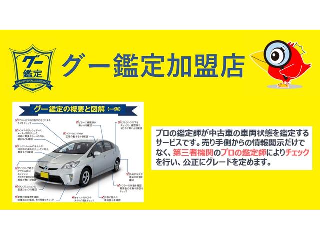 Ｇ・１０ｔｈアニバーサリー　純正ＳＤナビ・スマートキー・ビルトインＥＴＣ・特別仕様車・ユーザー買取車・ドライブレコーダー(44枚目)