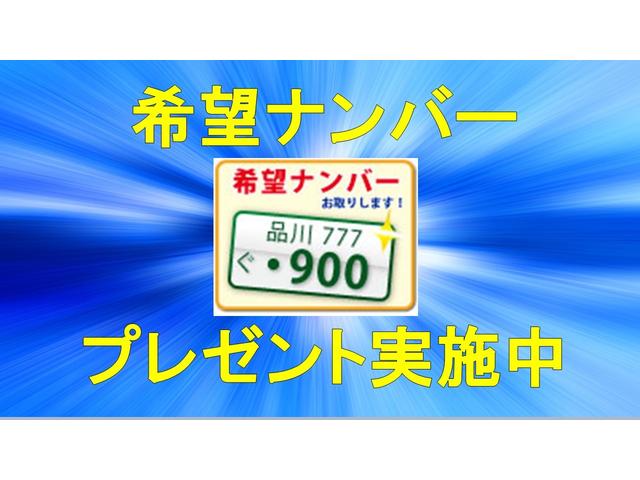 Ｇ・１０ｔｈアニバーサリー　純正ＳＤナビ・スマートキー・ビルトインＥＴＣ・特別仕様車・ユーザー買取車・ドライブレコーダー(49枚目)