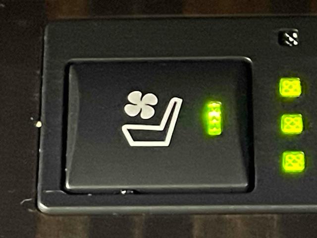 ＧＳ ＧＳ３００ｈ　Ｆスポーツ　社外１９ＡＷ　本革シート　純正ナビ　フルセグＴＶ　ベンチレーション　ＬＥＤヘッド　クルーズコントロール　ＥＴＣ　ＤＶＤ再生　スマートキー　ｂｌｕｅｔｏｏｔｈ　禁煙車　プッシュスタート　買取車両（64枚目）