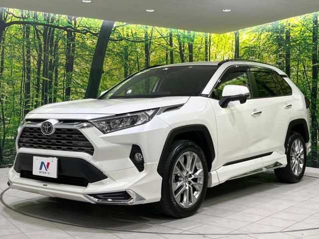 ＲＡＶ４ Ｇ　Ｚパッケージ　モデリスタエアロ　ＢＩＧＸ９型ナビ　衝突被害軽減　バックカメラ　ＥＴＣ　電動リアゲ―ト　Ｂｌｕｅｔｏｏｔｈ　ドライブレコーダー　デジタルインナーミラー　ＬＥＤヘッドライト　レーダークルーズコントロール（17枚目）